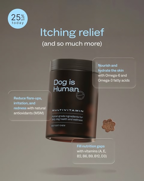 A clean, studio-lit product shot of a dog multivitamin jar with floating text boxes explaining specific health benefits.
